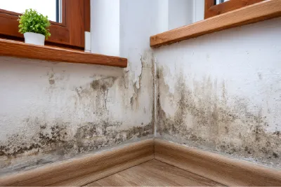 Humedad por capilaridad: manchas y salitre en la parte baja de las paredes